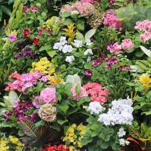 Meet your Posher, Gina